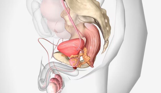 biópsia de próstata